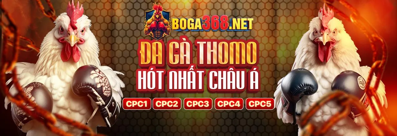 Đá gà trực tuyến kịch tính tại bj39 chính thức