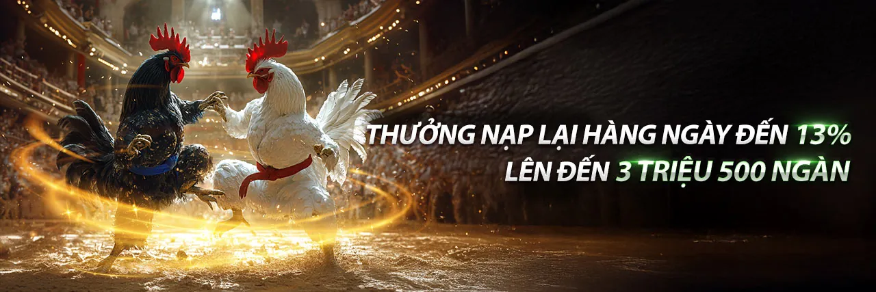Đá gà trực tuyến bj39 chính thức với các trận đấu kịch tính
